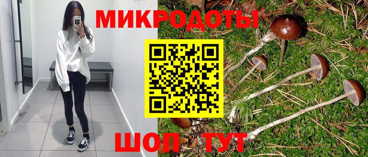 Альметьевск  Галлюциногенные грибы Psilocybe  Вход с VPN 